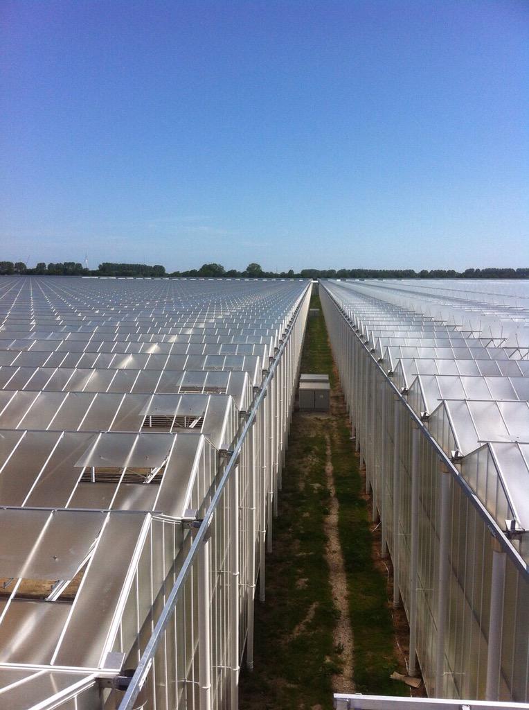 Havecon Horticultural Projects tweet media