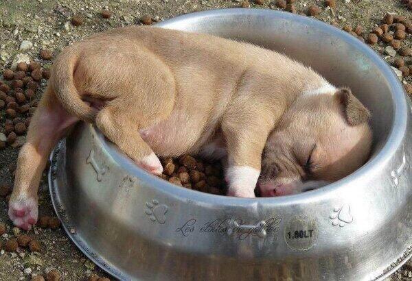 If you have had a bad day at work, this is for you