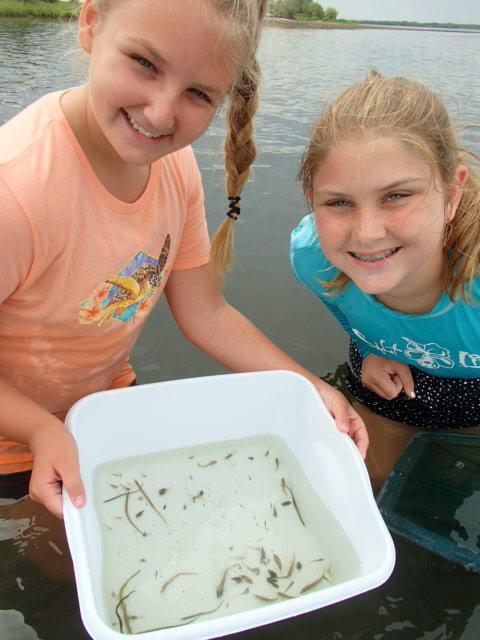 MarineScienceStation tweet media