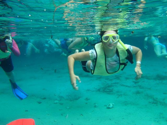 MarineScienceStation tweet media