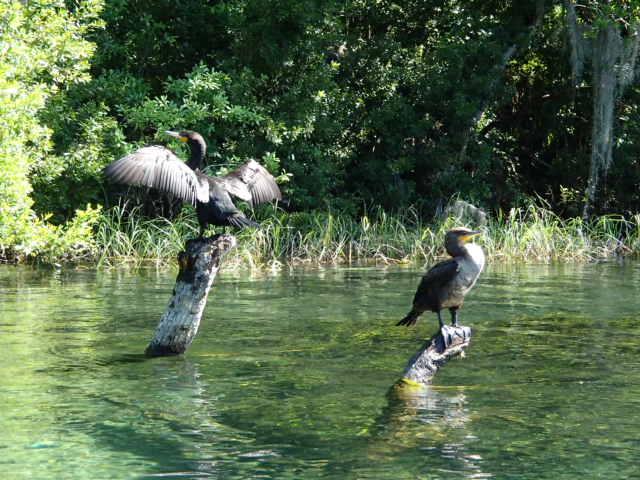 MarineScienceStation tweet media