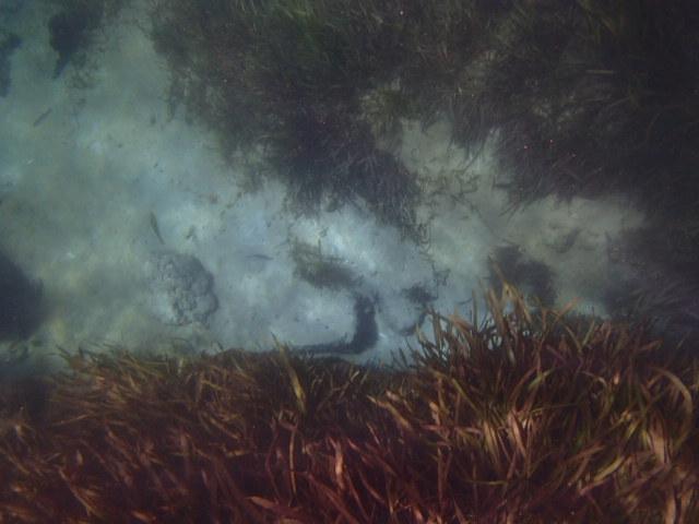 MarineScienceStation tweet media