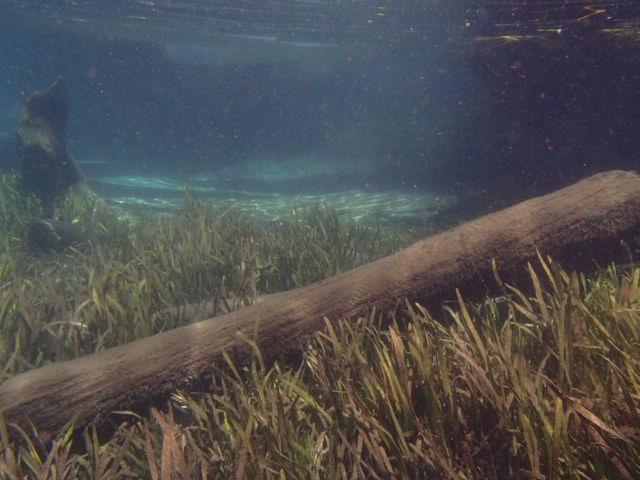 MarineScienceStation tweet media