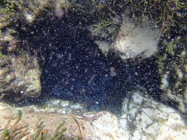 MarineScienceStation tweet media