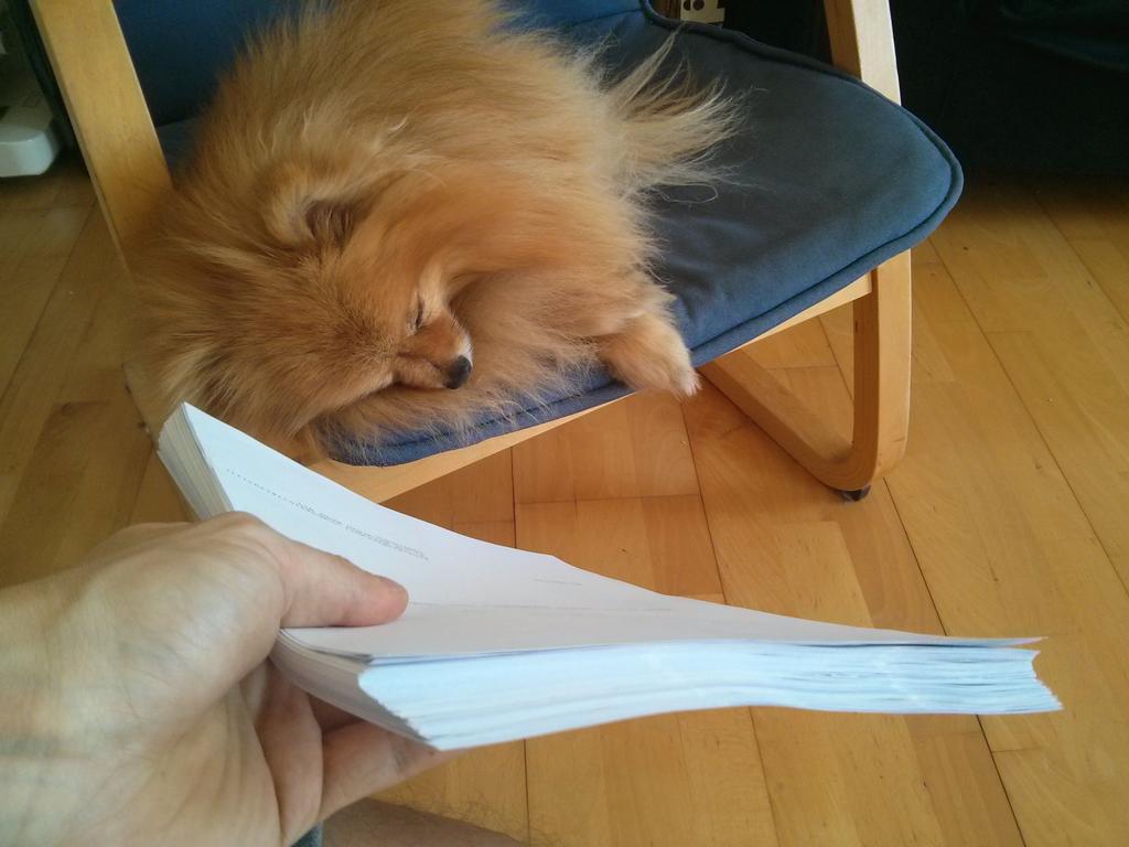 Benji is so impressed with the new script. #independentfilm