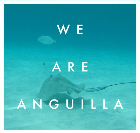 Our underwater neighbors are waiting for you! Come, Discover, Anguilla. #WeAreAnguilla