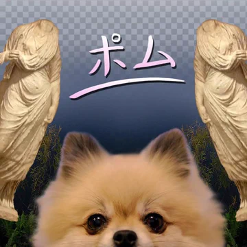 画像 / Picture