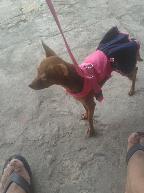 Almoço com a compania de Jolie Galeano