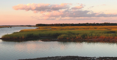 ExploreCHS's tweet image. "...you can never completely escape the sensuous, semitropical pull of #Charleston and her marshes." - Pat Conroy