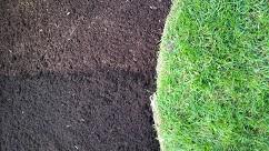 groundskeeperlandscapegroup.com/Blog/post/dyed…