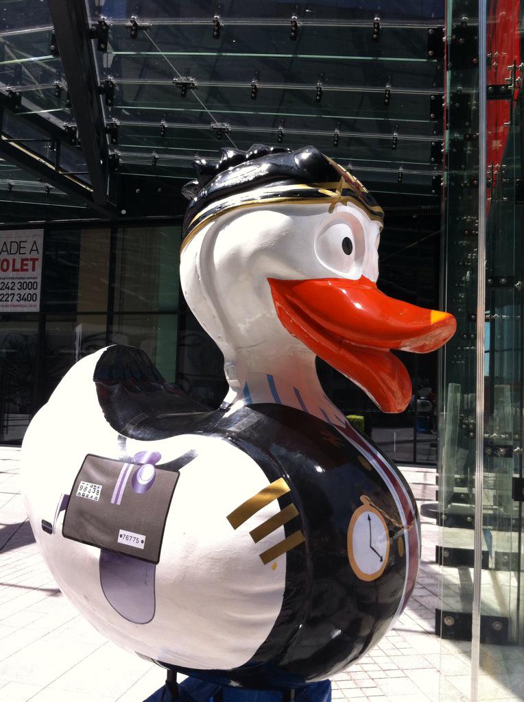 jules5162's tweet photo. Porter & Pop Ducks sitting pretty at OpenEye Gallery #ducksnap @AquaDucked http://t.co/eLHwXzRVNd