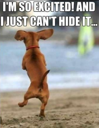Nestival_INTRNL's tweet photo. #SoExcited #WhyHideIt #Programmeday @edfringe #HappyDance @fol
@TheLadyBoys @AssemblyFest @ARfringe @SweetVenues http://t.co/CYfOJj5lZN