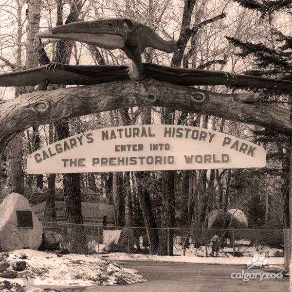 calgaryzoo's tweet photo. We're AB's oldest charity. For 85 yrs, the Calgary Zoological Society has operated the Calgary Zoo. #HowYourZooWorks http://t.co/kG7mryZZ2g