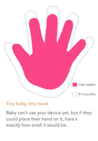ambreclark's tweet photo. This is the current size of my baby's hand (34 weeks) ! via Ovia Pregnancy http://t.co/TPb0LOuG4R
