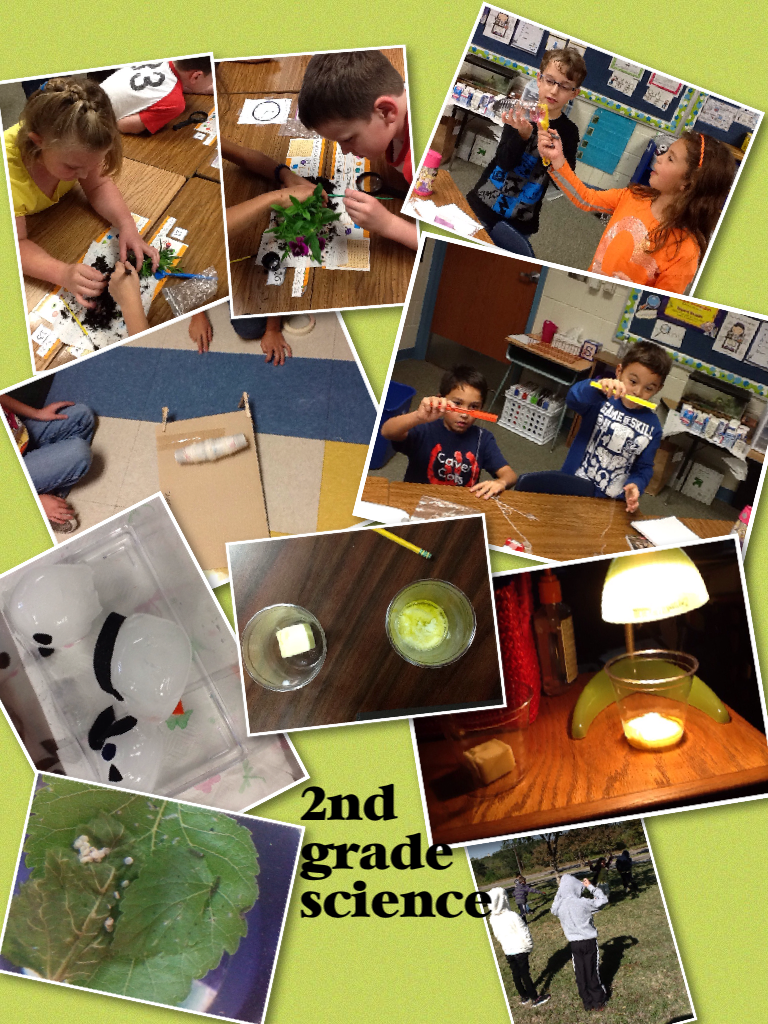 OColts's tweet photo. 2nd grade science http://t.co/a44iXUt4cE http://t.co/7idRW8VaJt