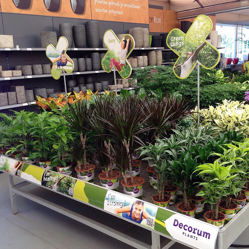 Decorumcompany's tweet photo. Nieuw! Keen on Green bij @GroenRijk0174 de meest gezonde, sterke en makkelijke planten bij elkaar! http://t.co/CKqym88tnF