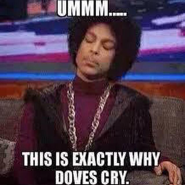 theamberthrashr's tweet image. Good mornin&apos; @comedycentral Another day without #BigTimeHollywoodSeason2 announced..... #BigTimeHollywood #everyday