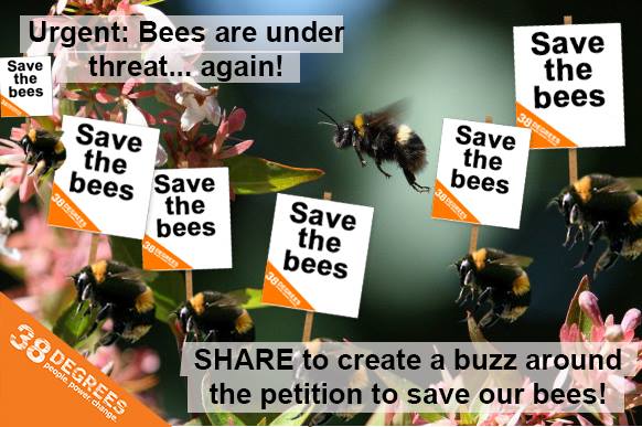 Tomorrow, we're handing in the save our bees petition to Environment minister Liz Truss: bit.ly/1EZiTnE
