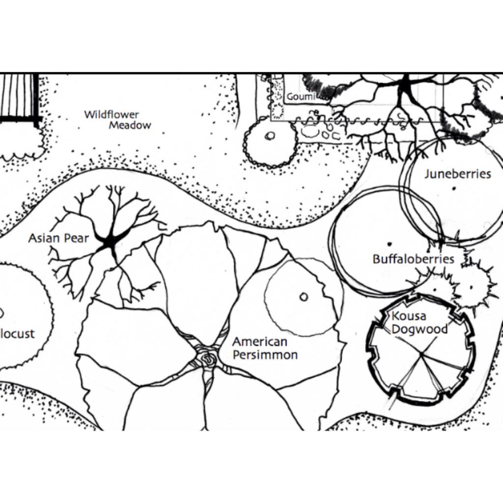 Sunday 10-12 Far Barn Talk: Edible Landscaping, Permaculture & Ecological Garden Design ($15/$10mem) #mvpsa