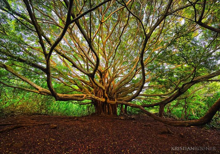 SinghaniaGautam's tweet image. Amazing nature