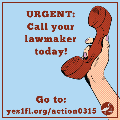 AudubonFL's tweet photo. URGENT: Call Your Legislator Right Now about Amendment 1 - http://t.co/V7a09IOnYx http://t.co/2OBhSJtCgy