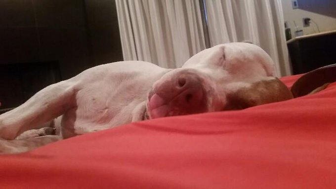 Bitch-rick Swayzee http://t.co/wureIpvfkX<a href="/tag/cybermonday"class="tags"><span>#cybermonday</span></a>