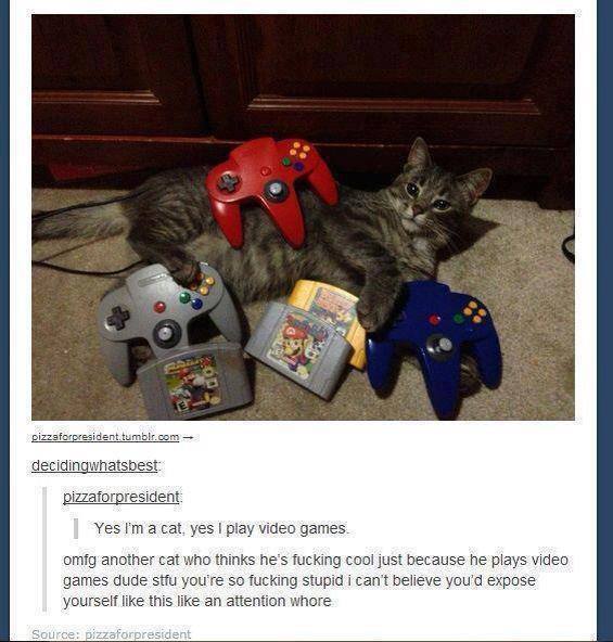 VGFGamers's tweet photo. GTFO cat! http://t.co/ojVCiRtcKP