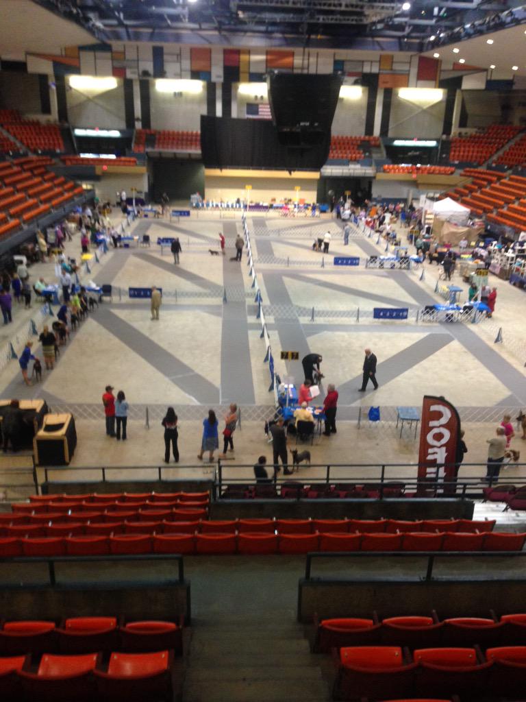 Dog Show through this Sunday free admission!
