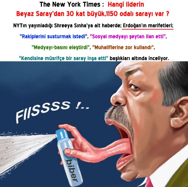 DeliFener_li's tweet photo. NYT: Hangi liderin Beyaz Saray'dan 30 kat büyük,1150 odalı sarayı var? @JeansBiri @mkaayse @Doktor_Alman @Yazar212 http://t.co/NYuIfOFbgE