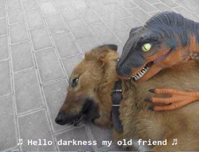 jamadacaj's tweet image. today