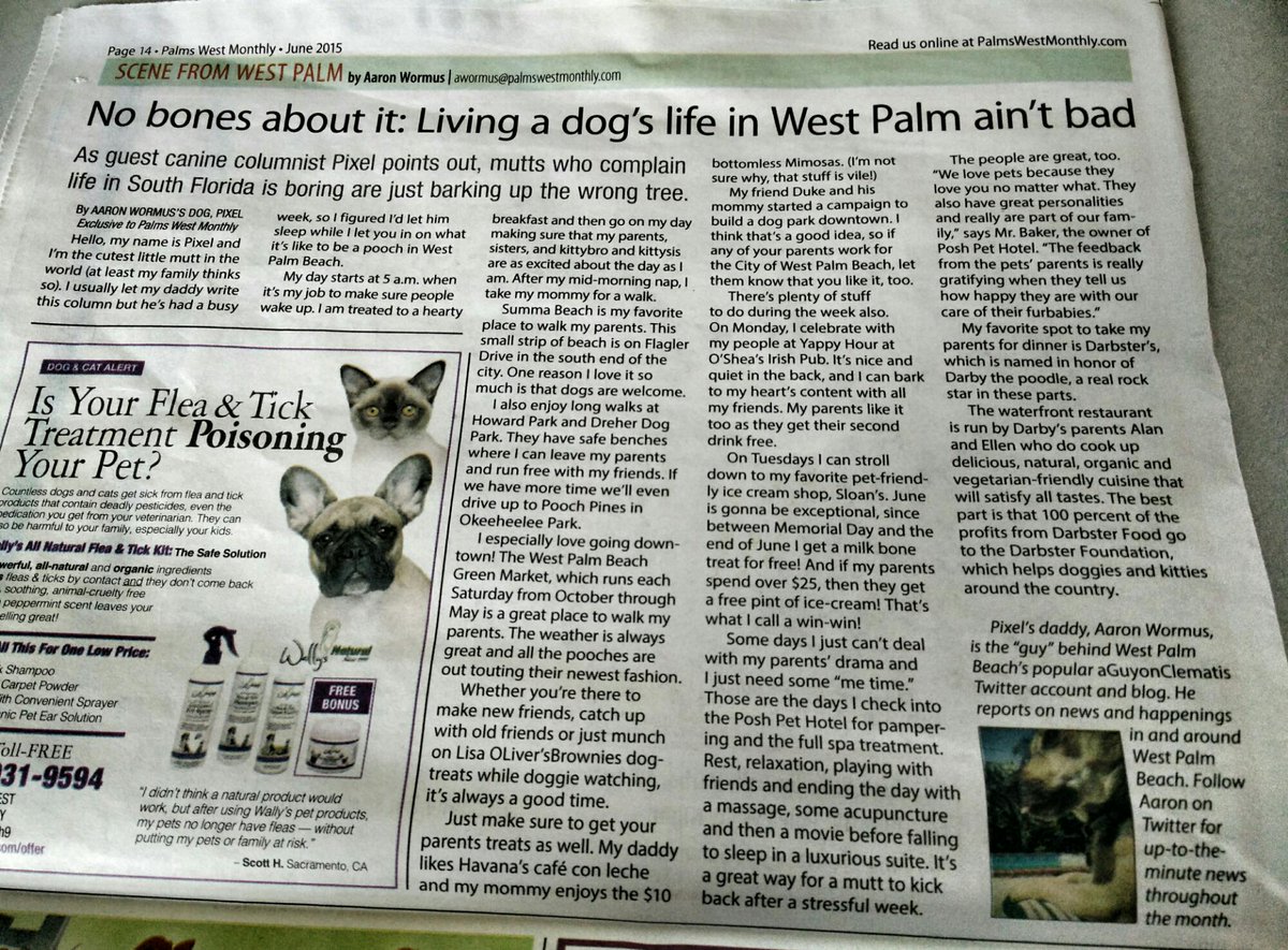 aGuyonClematis's tweet image. Living a dog's life in WPB ain't bad (by @pixelhere) - aguyonclematis.com/2015/06/living…