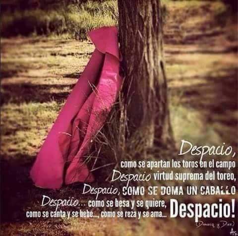 Cárdenas Jr. tweet media