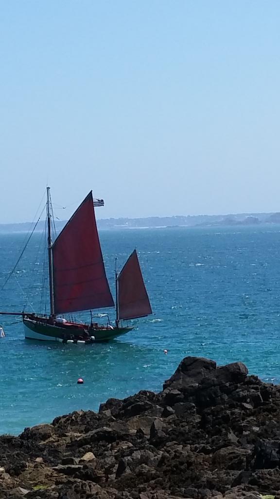 BibiNieuw's tweet image. Deze heerlijke dag afsluiten aan zee in Tregastel na de hele dag op zee te zijn geweest naar les sept iles. #rozig