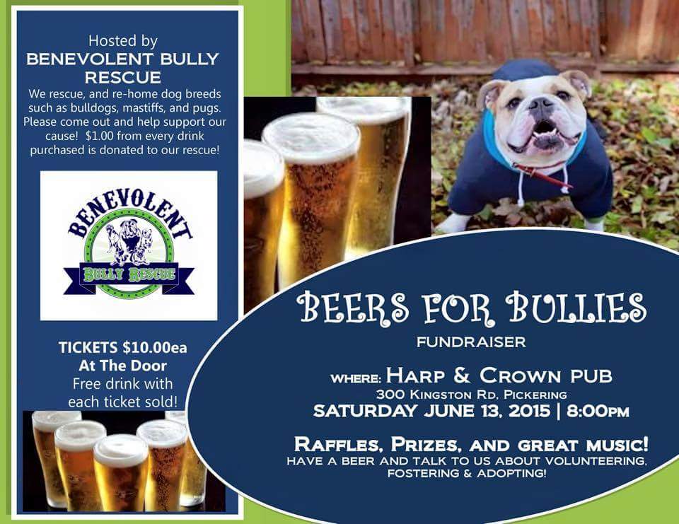 twpittered's tweet image. #Pickering #PickeringEvents #BenevolentBullyRescue #Beer #BeersForBullies #Fundraiser #HarpandCrownPub #PleaseRT !❤