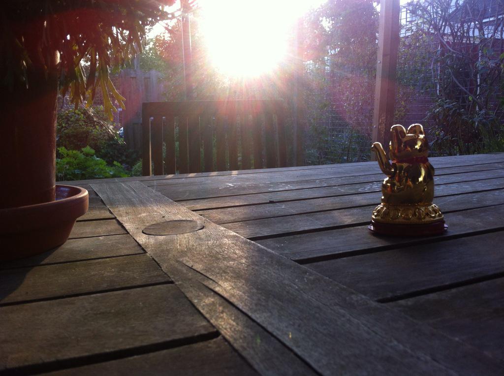 Jopje73's tweet photo. http://t.co/5U6piPnI6R