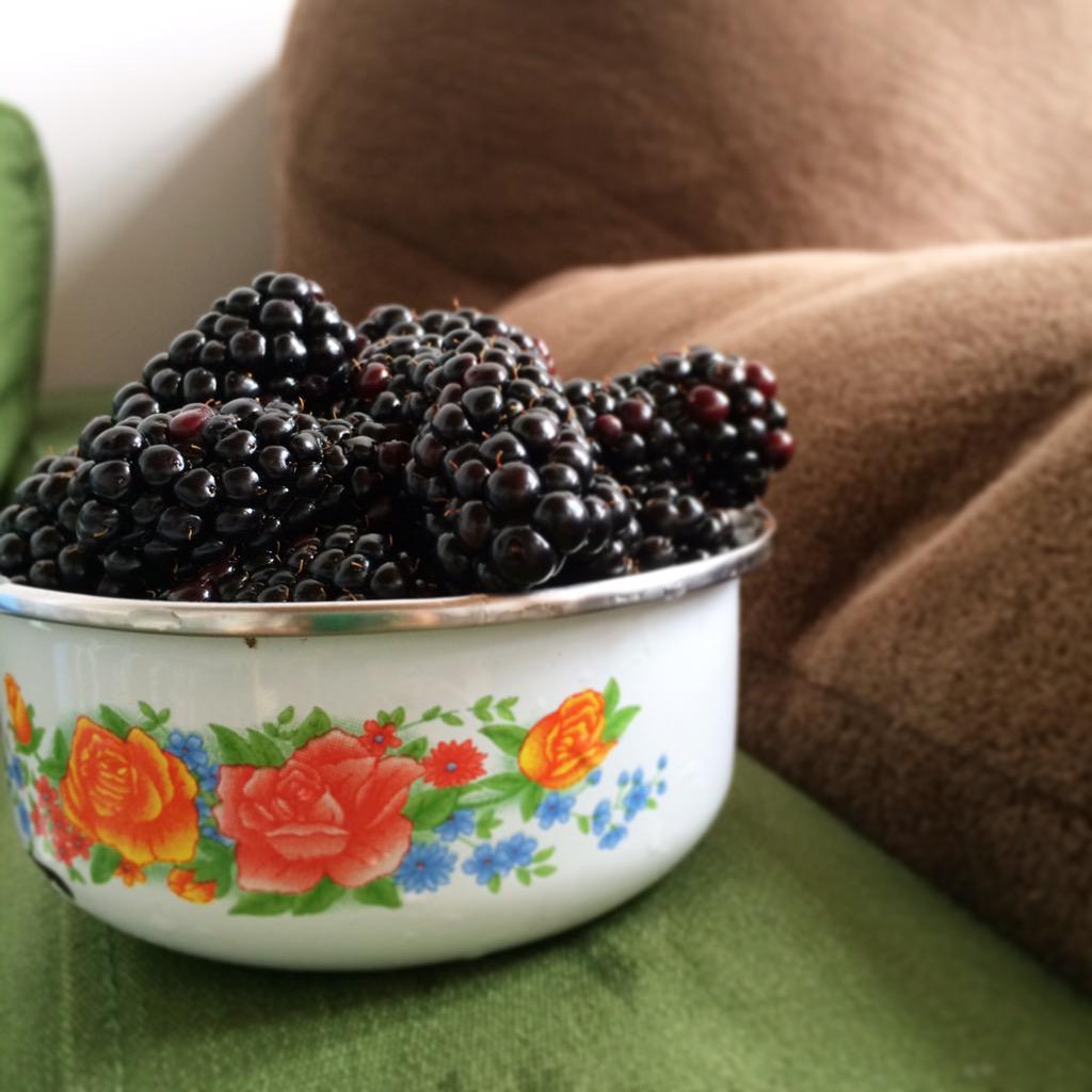 swamprabbitcafe's tweet photo. They're here: local blackberries! #fountaininn #blackberrypatch #eatlocalridebikes #yeahTHATgreenville http://t.co/NadCNUG3Ax