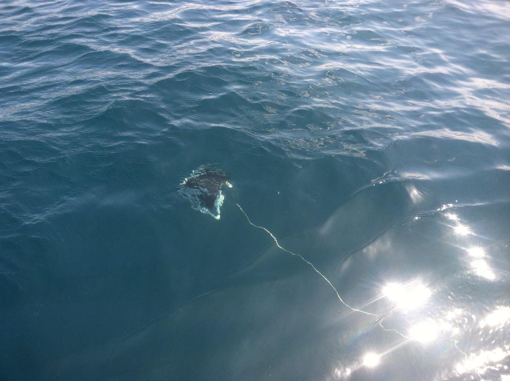 OpenROV (underwater robotics) deployed from <a href="/SBChannelkeeper/">Santa Barbara Channelkeeper</a> boat to monitor, document impacts of #RefugioOilSpill