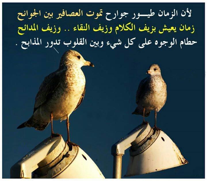 MostafaaMostaf8's tweet photo. http://t.co/jqdxevDd9F