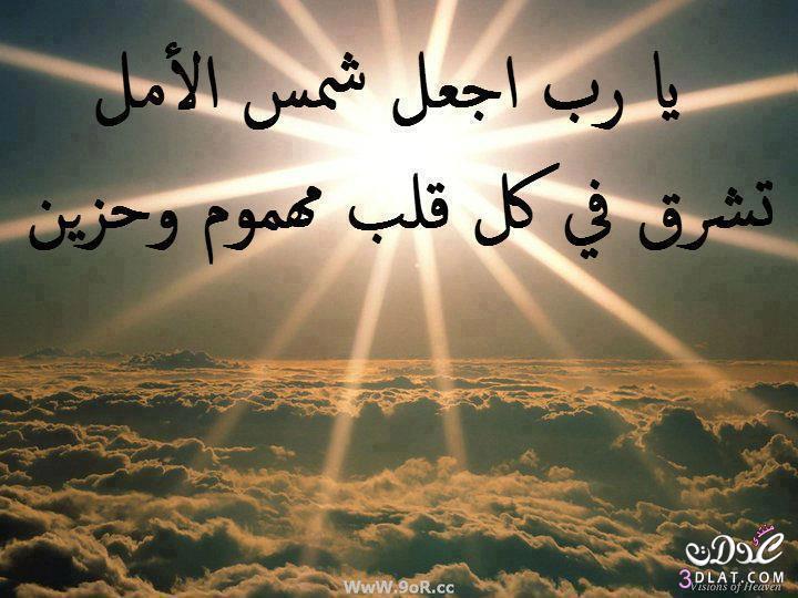 حسن السعيدي (@k80861170) on Twitter photo 