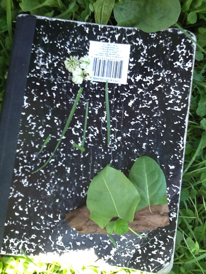 MsGouldScience's tweet photo. @scifri @hibbardcps students used items affected by the sun to #explainthesun...thoughtful, artistic interpretations! http://t.co/GHVCQUbpVq
