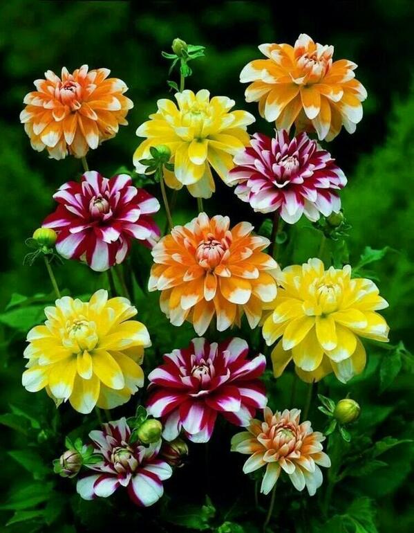 TurkiyeSevgi's tweet photo. #takipedenitakipederim
#AnındaGeriTakip
#takibetakip
#followme
#takipleselim
#followback
#MGWV
#RT2GAIN
#FOLLOWTRICK http://t.co/Rl9SPgYr9G