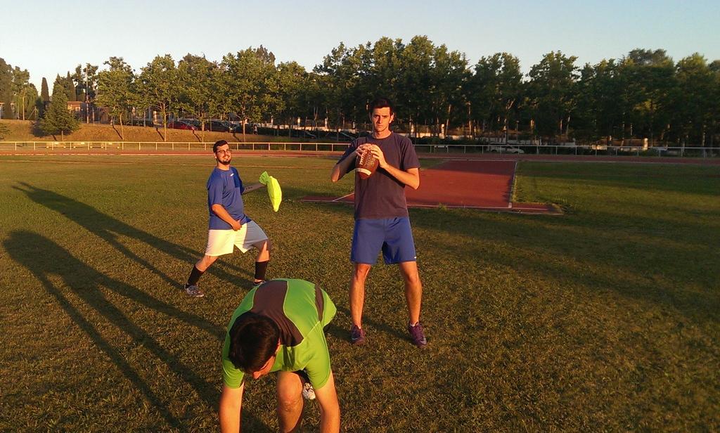 Mollet Dolphins tweet media