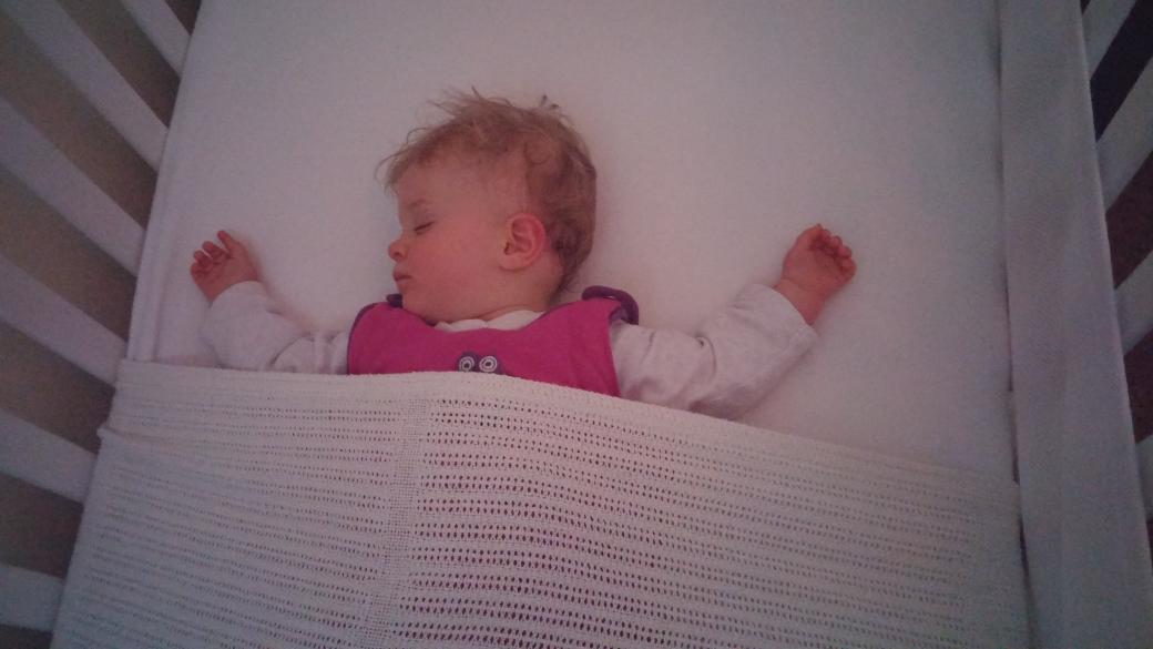 Sorry I couldn't join the #SEHA2015 celebrations <a href="/stadiumexp/">Stadium Experience</a>. Ayla says hi!