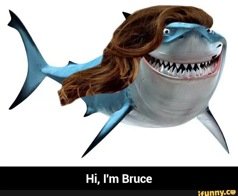 yourlocaldreamr's tweet photo. Hi, I'm Bruce #iFunny http://t.co/hPkKoFhWmN http://t.co/FVjLbMbJvj