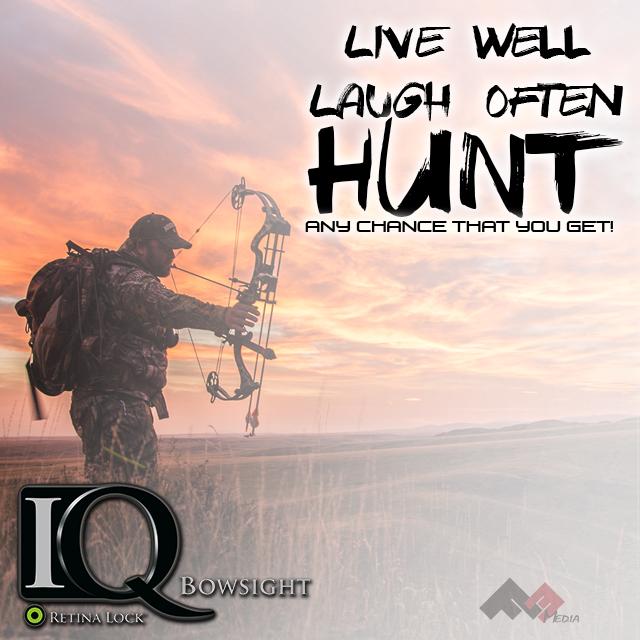 IQ Bowsights tweet media