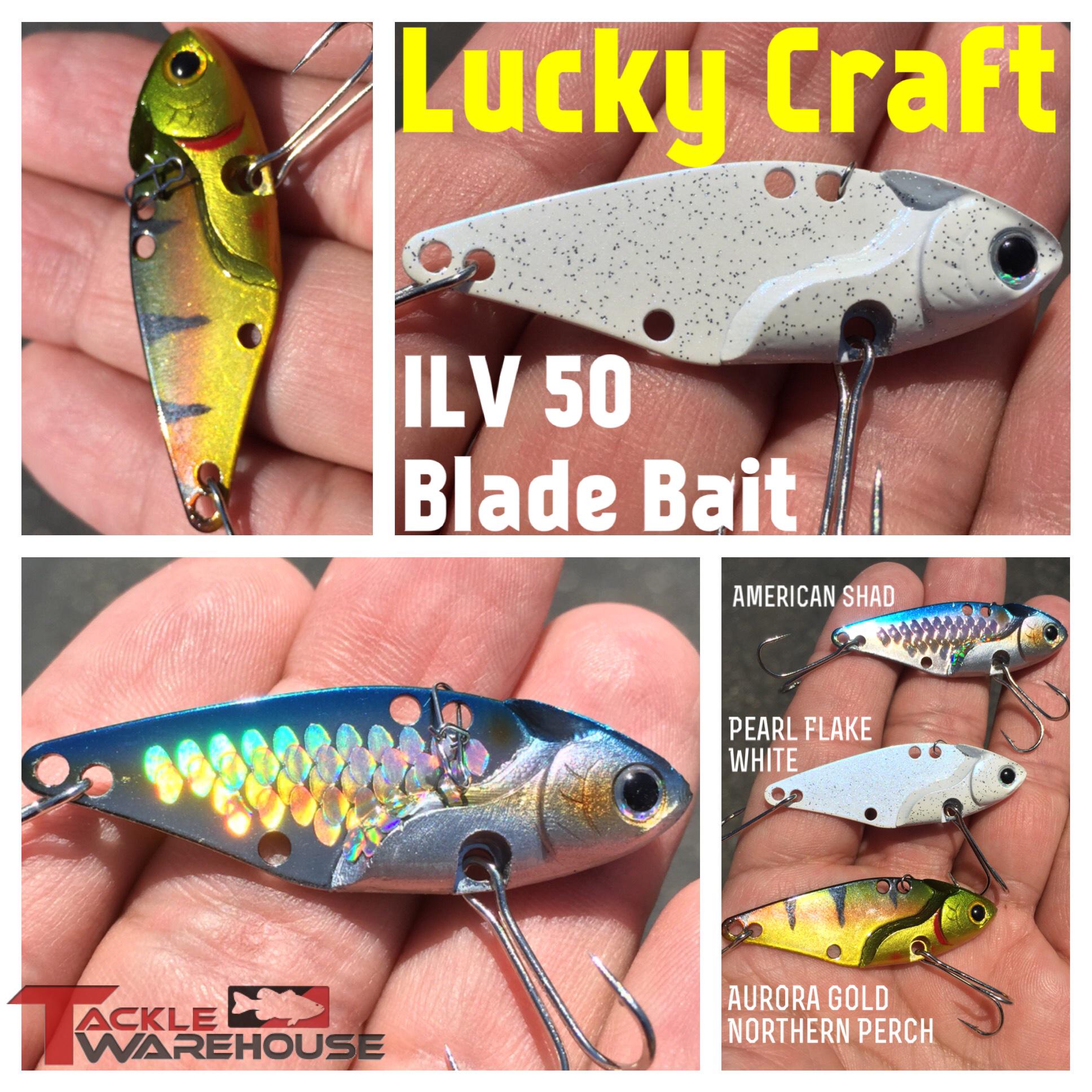 tackle warehouse baits