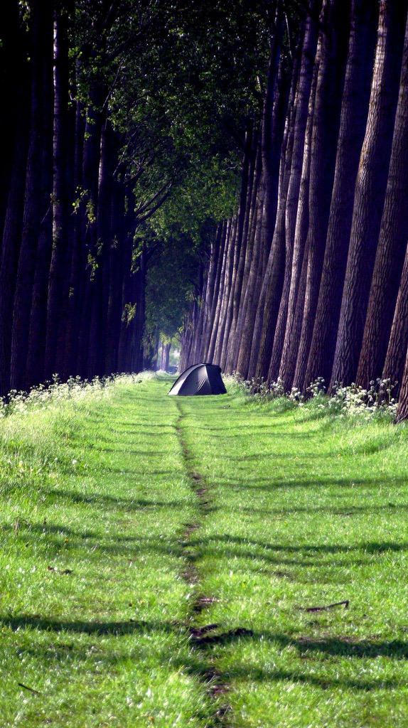 CollectFishing's tweet image. Big pits...