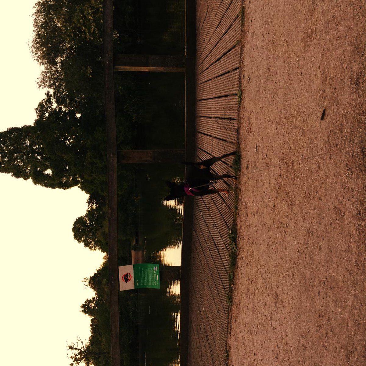 LondonDogTourCo's tweet photo. I walked the dog 2.3 km Noneu/69038817/3-1014498157 http://t.co/qKsTJnMFbT