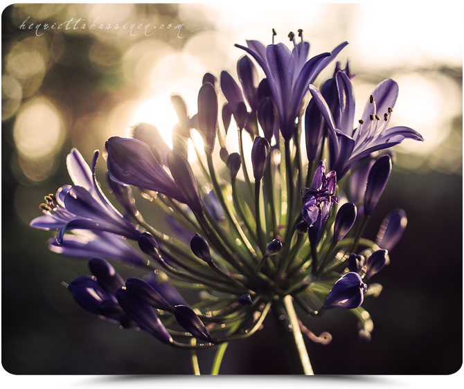 kaikkionjo's tweet photo. Henrietta Hassinen http://t.co/uYAiP7su7G http://t.co/oZIGz3jdWx