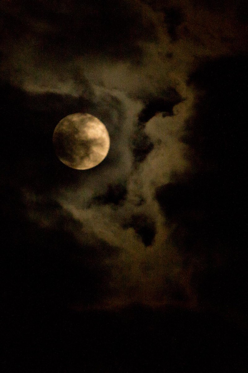 MarslCont's tweet image. No olvides descargar nuestra #FotoDelDía en nuestra página. &amp;gt;&amp;gt; notimex.gob.mx